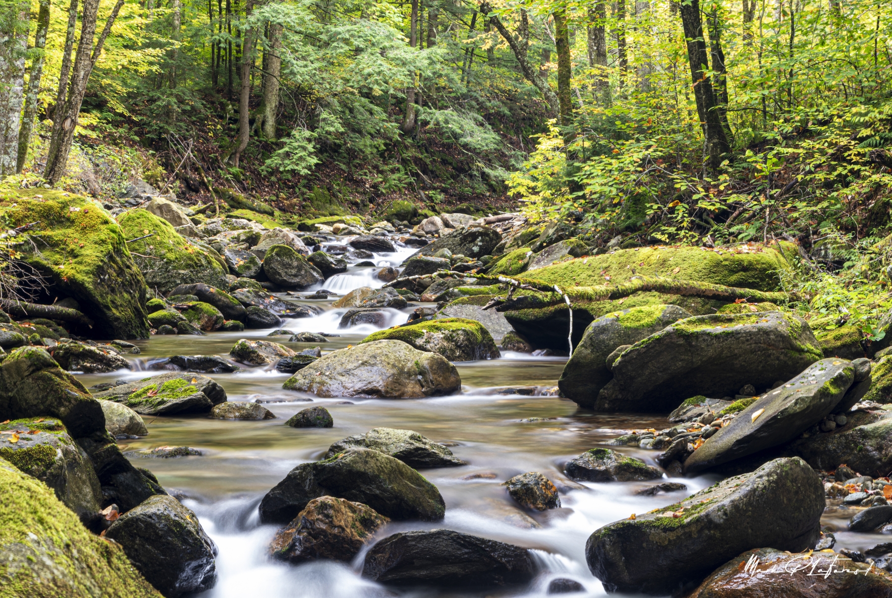 /gallery/north_america/USA/Vermont/chittenden brook/Chittenden Brook VT 2021-001_med.jpg